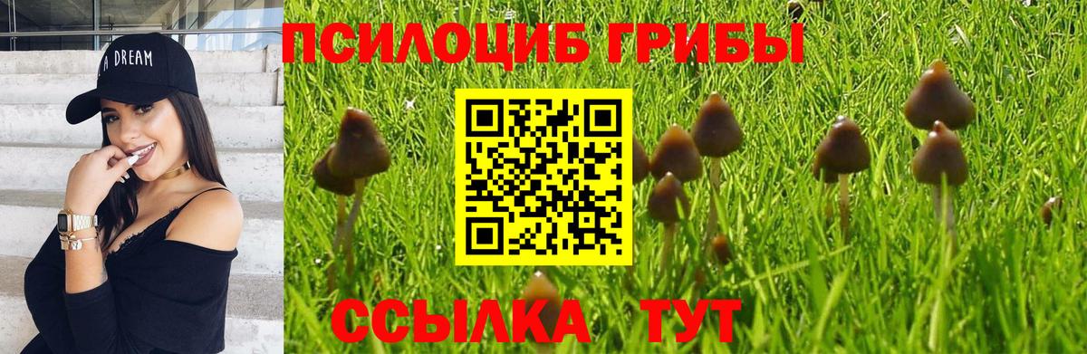 Галлюциногенные грибы прущие грибы Зеленогорск
